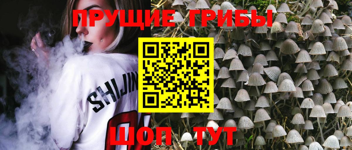 Галлюциногенные грибы Magic Shrooms  Вход с VPN  Петровск 